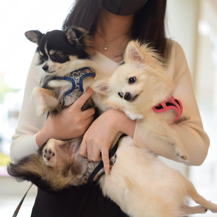 一頭一頭を見守ります