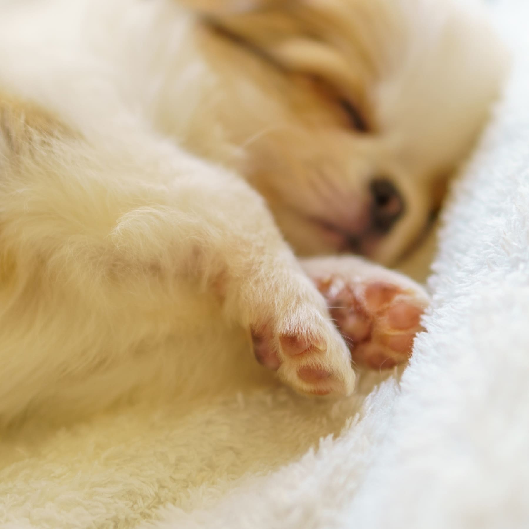 初めての方にも寄り添う、安心のサポート