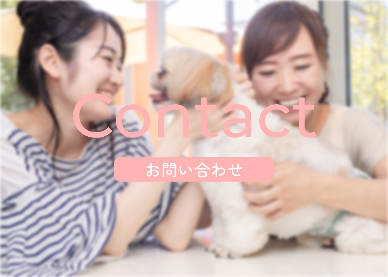 お問い合わせ