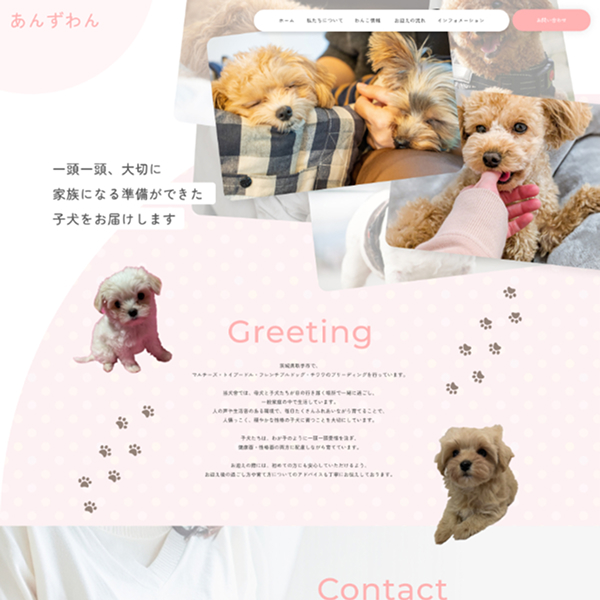 ホームページを公開いたしました